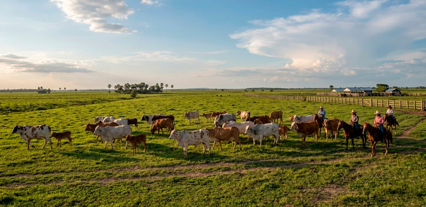 Compromiso con la Excelencia en el Campo
