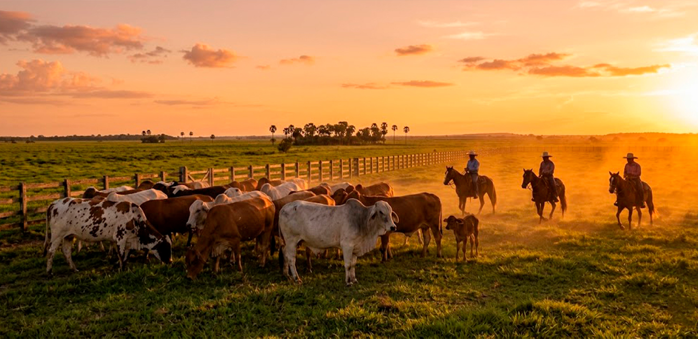 La Esencia de Nuestra Tierra